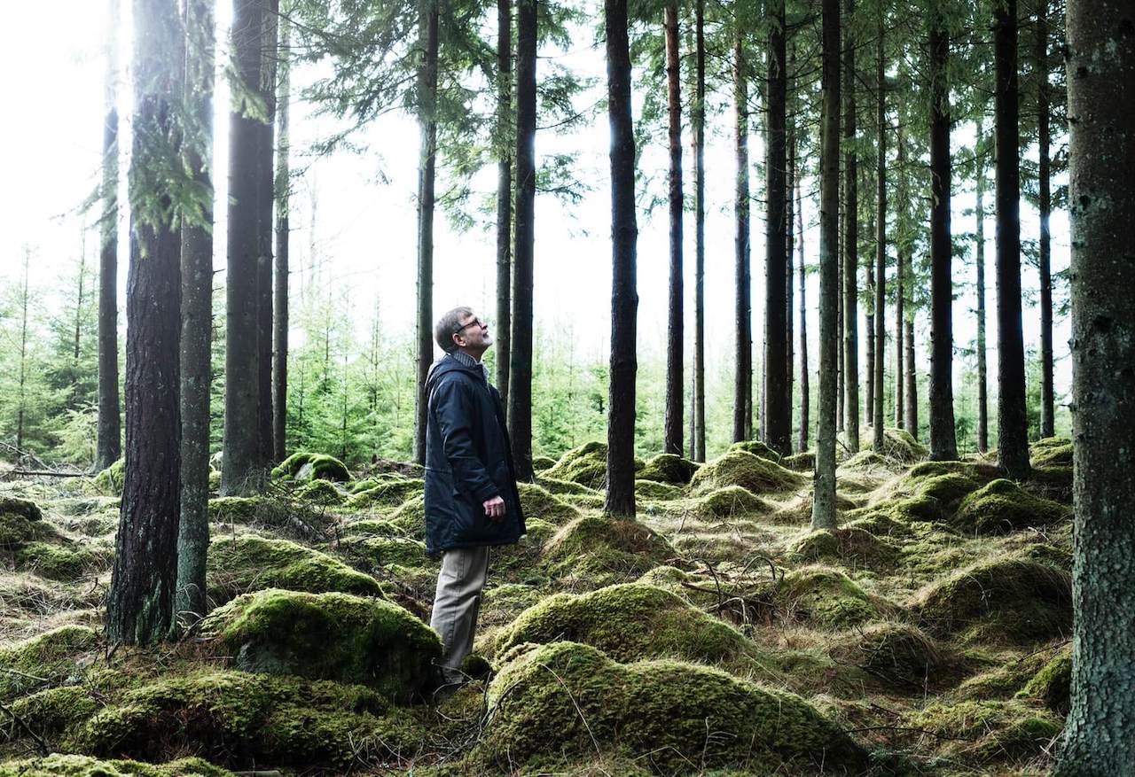 IKEA furniture: is it sustainable?