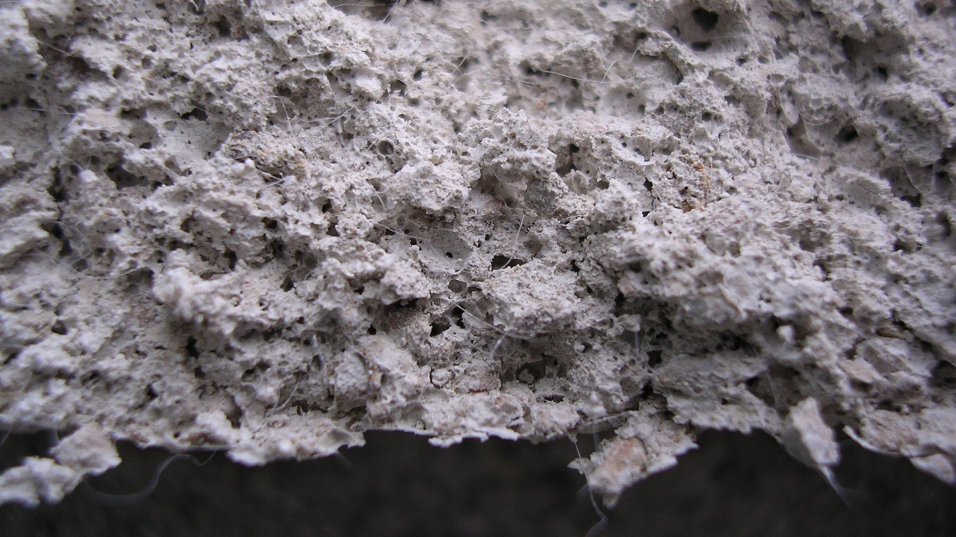 Diasen and the cork revolution _ transforming home experiences with sustainable comfort _ Decork _ Diatonite